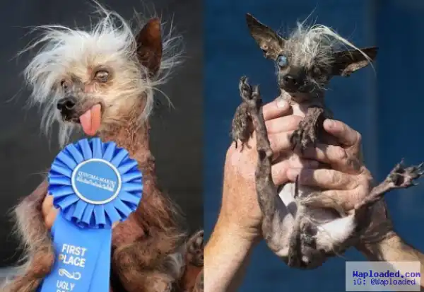 Photos: Meet the World